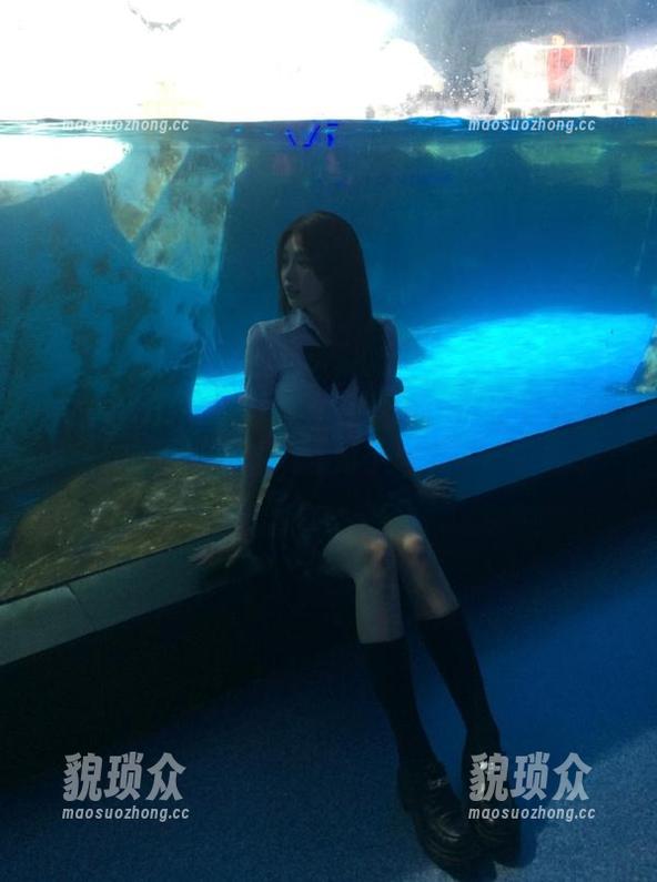 155fun苹果版：浏览器选择之谜，选对了吗？