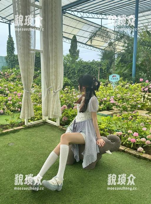 再也不怕错过！吃瓜导航帮你锁定网页上的八卦！