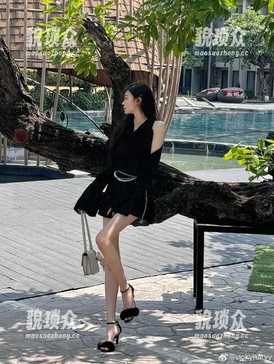 吃瓜网首页，我的晨起仪式，早场朝阳下，今天的八卦如何？