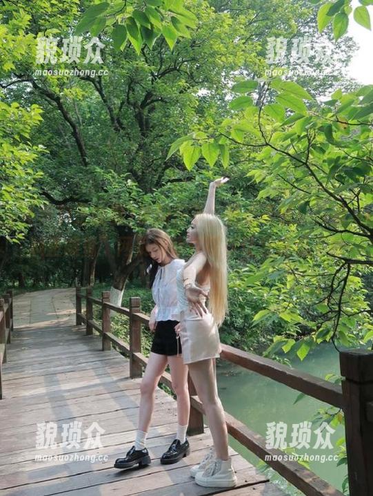 视频在手，我心不慌！“黑料正能量”网页版软件可以让我吃瓜不再孤单！